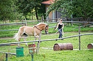 Horses