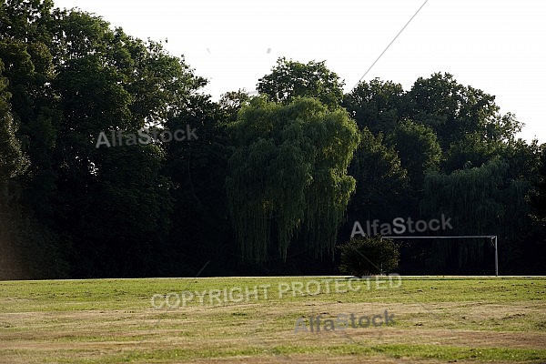 Landscape, outdoors, green, trees, grass.