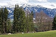 Landscape with snow in the background