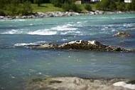 Lechbruck am See, Ostallgäu, Schwaben, Bavaria, Germany, Lech