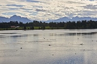 Lechbruck am See, Ostallgäu, Schwaben, Bavaria, Germany, Lech