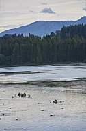 Lechbruck am See, Ostallgäu, Schwaben, Bavaria, Germany, Lech