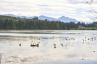 Lechbruck am See, Ostallgäu, Schwaben, Bavaria, Germany, Lech