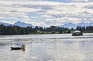 Lechbruck am See, Ostallgäu, Schwaben, Bavaria, Germany, Lech