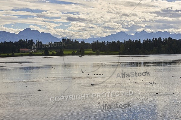 Lechbruck am See, Ostallgäu, Schwaben, Bavaria, Germany, Lech