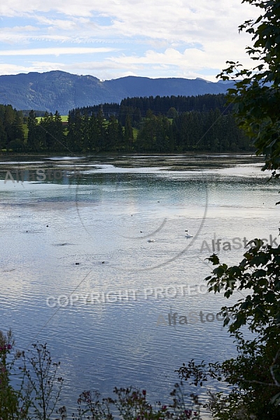 Lechbruck am See, Ostallgäu, Schwaben, Bavaria, Germany, Lech