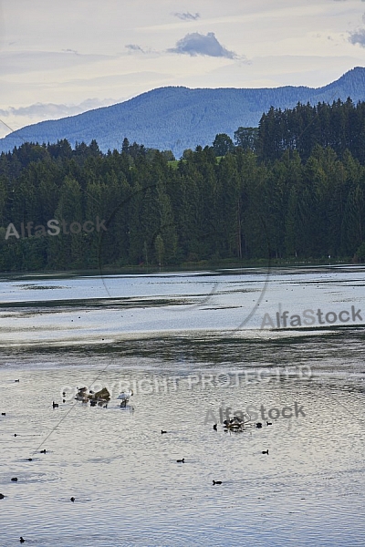 Lechbruck am See, Ostallgäu, Schwaben, Bavaria, Germany, Lech