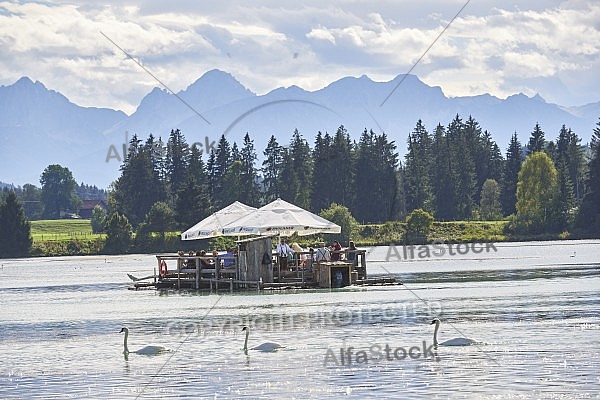 Lechbruck am See, Ostallgäu, Schwaben, Bavaria, Germany, Lech