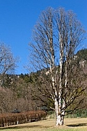 Linderhof Palace, Germany