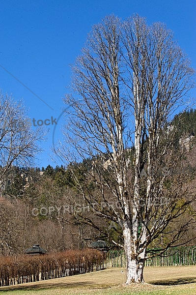 Linderhof Palace, Germany