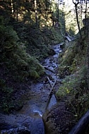 Little waterfall, Nesselwang, Bavaria, Germany