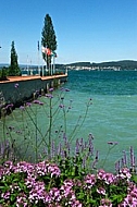 Mainau  island in Lake Constance, Germany