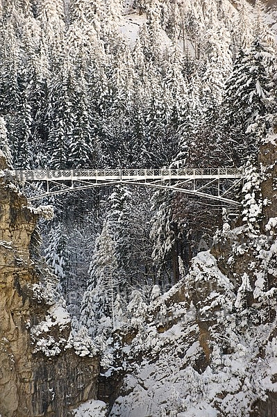 Marienbrücke, Neuschwanstein Castle in Schwangau, Germany