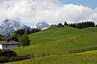 Meadow with mountains in the background