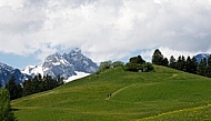 Meadow with mountains in the background