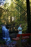 Modell girl posing in the forest