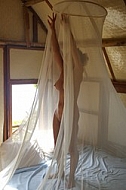 Mosquito Net