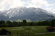 Mountains with forest