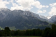 Mountains with forest