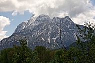 Mountains with forest