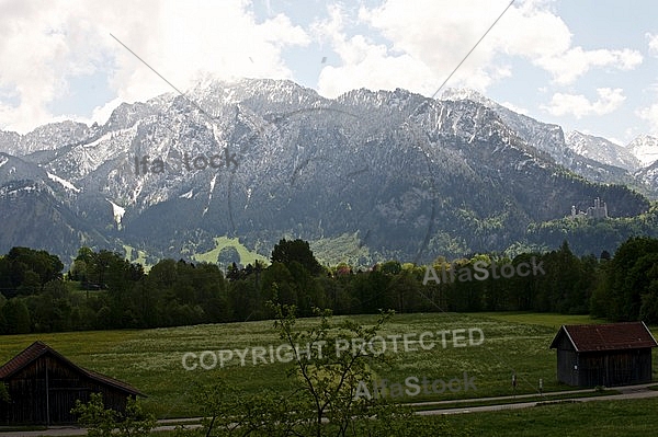 Mountains with forest