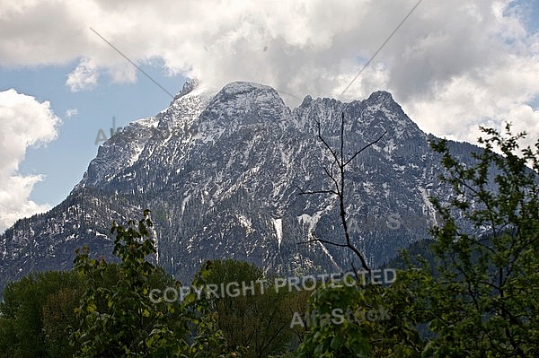 Mountains with forest