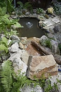 Nature, Plants, background