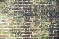 Old brick wall.