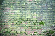 Old brick wall.