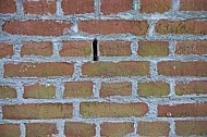 Old brick wall.