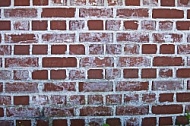 Old brick wall.