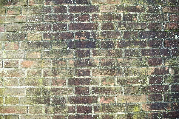 Old brick wall.