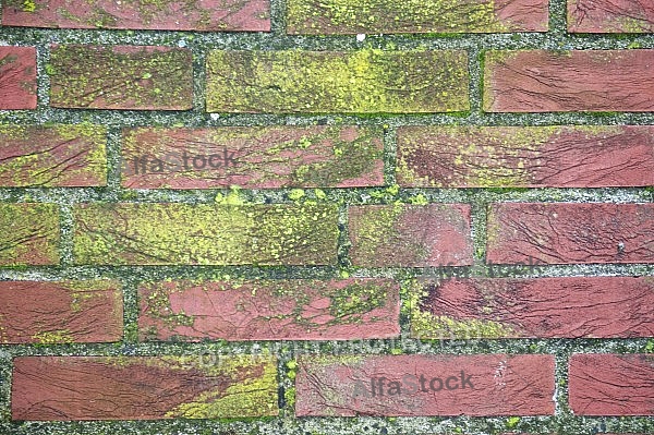 Old brick wall.