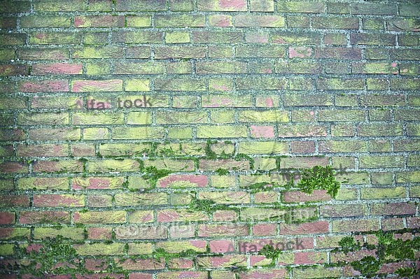 Old brick wall.