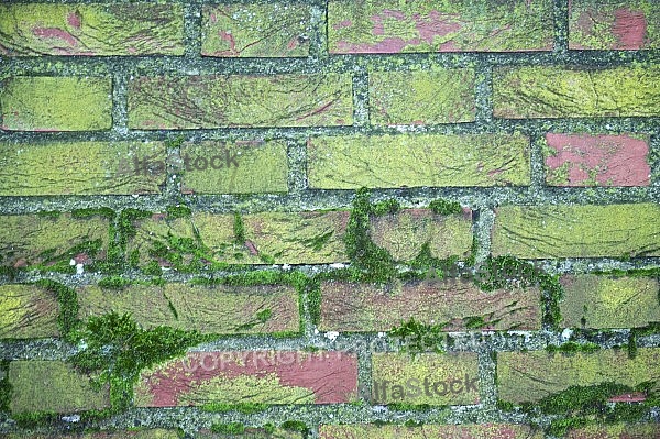 Old brick wall.