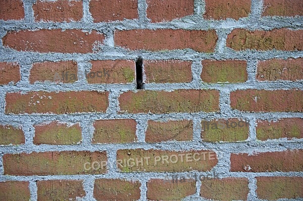 Old brick wall.