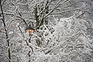 Old style street light with lamps near the Hohenschwangau