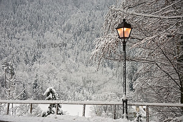Old style street light with lamps near the Hohenschwangau