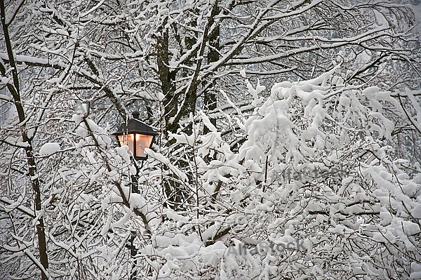 Old style street light with lamps near the Hohenschwangau