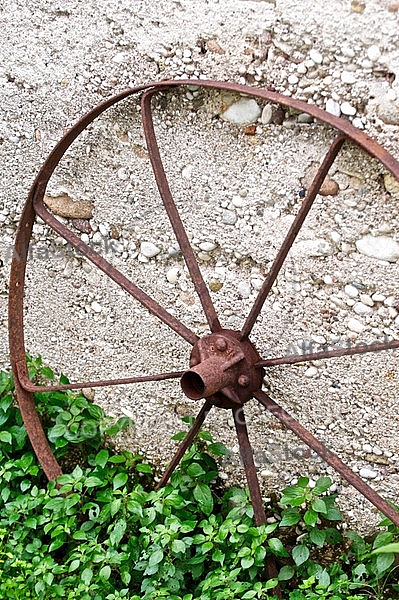 Old wheel