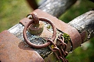 Old Wooden Wagon