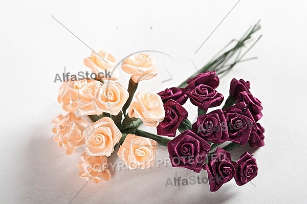 Pink and dark red miniature roses