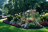 Plants in a park