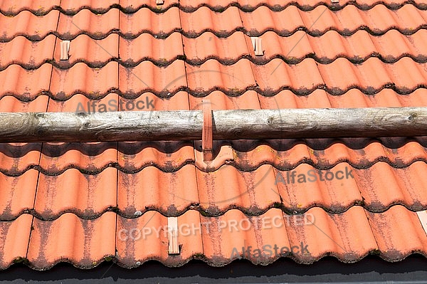 Reed roof