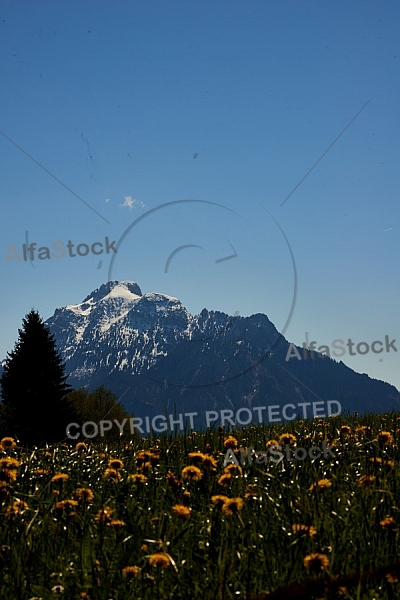 Riedener Faulensee, Allgäu, Bavaria, Germany