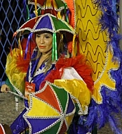 Rio Carnaval 