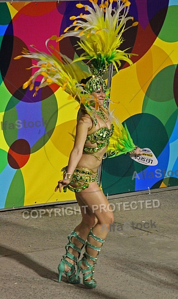 Rio Carnaval 