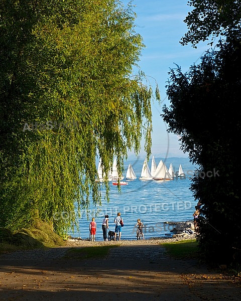 Sailing boat, Friedrichshafen,  Lake Constance, Germany