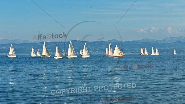 Sailing boat, Friedrichshafen,  Lake Constance, Germany