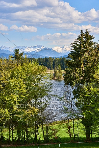 Schwaltenweiher, Schlosshof, Rückholz, Allgäu, Bavaria, Germany